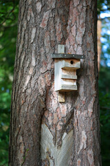 Ein aus Holzresten gebauter Nistkasten für die Vögel aus Bruthilfe.