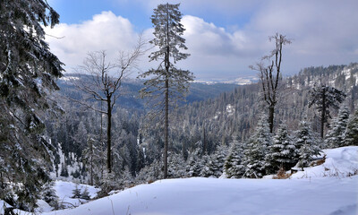 Zimowy widok z drogi na Turbacz.