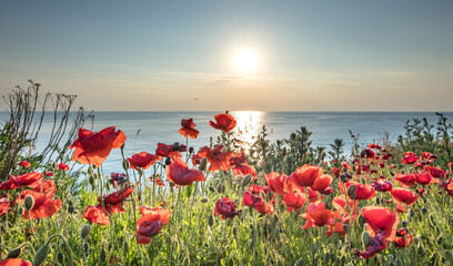 Fototapety na wymiar - Fototapeta24.pl