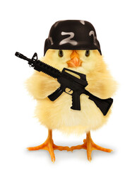 Cute cool chick army military soldier with helmet and assault rifle weapon funny conceptual image....