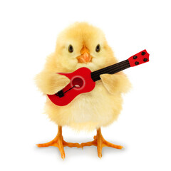 Cute cool chick musician with red guitar funny conceptual image. Music art concept - obrazy, fototapety, plakaty