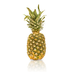 Isolate of a whole pineapple with a reflection on a white background.