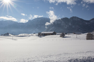 verschneite Winterlandschaft in den Allg&auml;uer Bergen