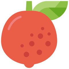 grapefruit flat icon