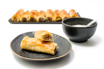 Meat rolls pastry - fried minced pork meat in spring rolls in an oval plate with a bowl of tartar sauce and stack og rolls in the background, selective focus, isolated on white background with clippin