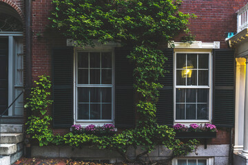 Fototapeta premium View of an apartment building with a brick wall and two windows. Climbing vine plant on a facade