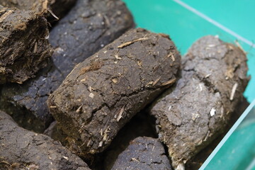 peat soil for growing plants