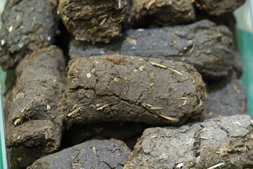 peat soil for growing plants