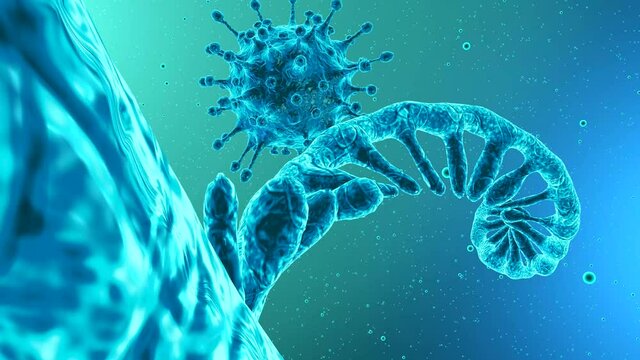 Single-stranded RNA genome. SARS-CoV-2 omicron arcturus coronavirus. 3D animation