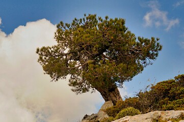 Sierra de Baza Natural Park in Granada, Andalusia - Spain. - obrazy, fototapety, plakaty