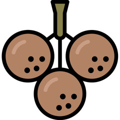 longan filled outline icon