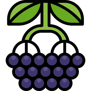 Elderberry Filled Outline Icon