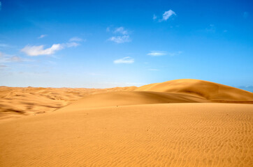 Fototapeta na wymiar Namib desert dark yellow against a blue sky, good for backgrounds