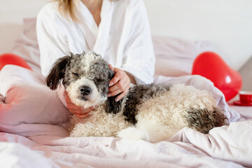 Young woman sitting in the bed with her dog