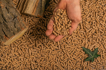 Man holding wooden pellets.Ecologic energy