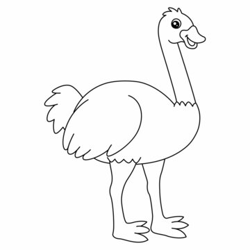 recommend clip art: Ostrich Coloring Page Isolated for Kids