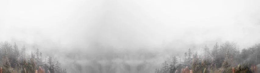 Gordijnen Amazing mystical rising fog sky forest snow snowy trees landscape snowscape in black forest ( Schwarzwald ) winter, Germany panorama banner - mystical snow mood.. © Corri Seizinger