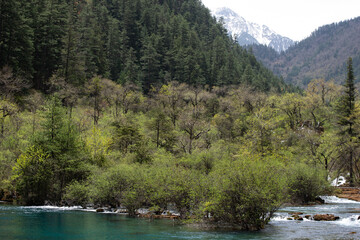 Mountain scenery in Jiuzhaigou Valley Scenic and Historic Interest Area in Sichuan Province, China