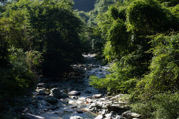 Fast flowing creek in Tangjiahe Nature Reserve, Sichuan Province, China