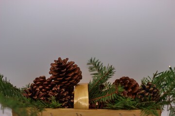 Branches and cones of spruce in wicker basket