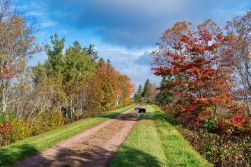 Autumn on the Conferederation Trail in rural Prince Edward Island, Canada.