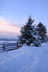 Winter beautiful landscape in the snow