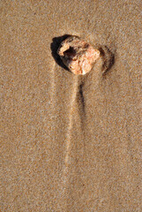 Close Up of Small Stone on Wet Sand on Beach