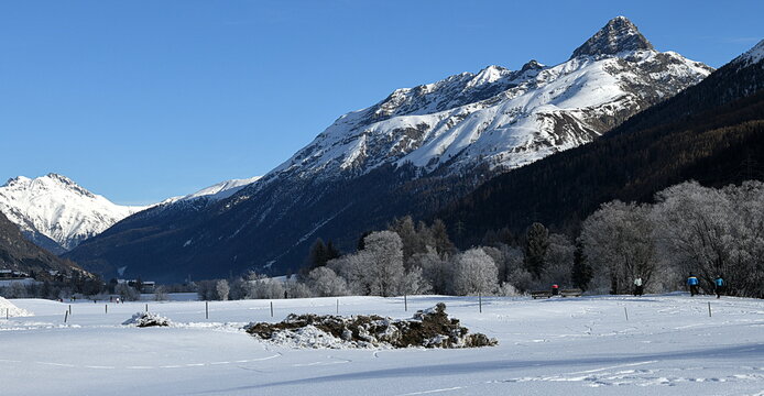 Engadine