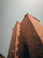 Torre dell'elefante, Cagliari, Italia  © Pietro