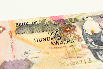detail of a 100 zambia kwacha bank note