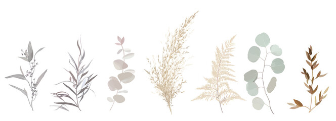 Mix of herbs and plants vector big collection. © lavendertime