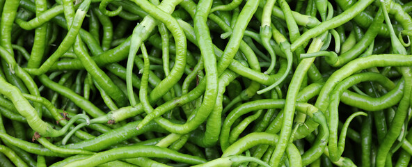 close-up organic and fresh green chillies