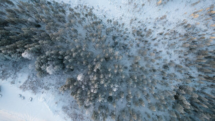 Aerial view of winter forest covered in snow. drone photography - panoramic image Beautiful frosty trees, christmas time, Happy new year.