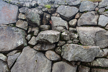wall