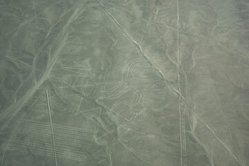 Obraz premium paper background