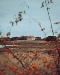 autumn in the forest