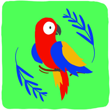 Colorful arara hand drawing vector