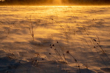 Fototapeta premium sunrise in the snow