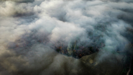 Layers of fog color a winter day