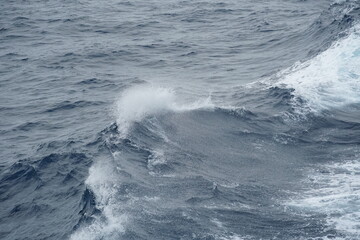 Sea wave on the Pacific Ocean. There is splashed water on the crest of the wave. On the crest of the wave there are water drops. Copy space is available. Suitable as background, abstract and texture.