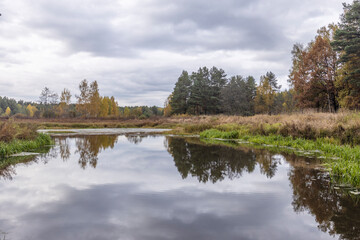 Autumn landscape with a small forest river. Cloudy weather in the forest Idyllic autumn landscape. Clean nature, ecology, seasons, environmental protection. Atmospheric and peaceful landscape