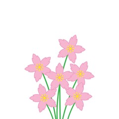 Obraz na płótnie Canvas sakura flower vector illustration design