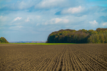 Agriculture concept. Landscape with agricultural land.