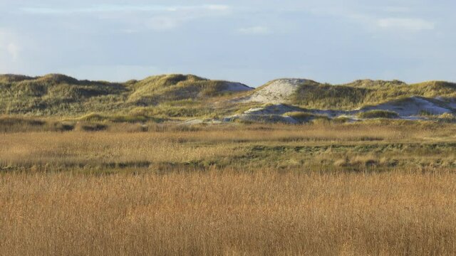 Amazing landscape at the Wadden Sea in St Peter Ording Germany - travel photography