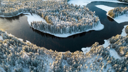 Aerial view of snowy winter forest with black river. Drone photography - panoramic image of beautiful frosty trees and loops of river in Jamtland County, Sweden