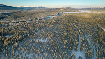 Aerial view of snowy winter forest with black river. Drone photography - panoramic image of beautiful frosty trees and loops of river in Jamtland County, Sweden