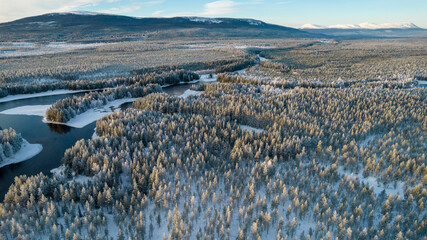 Aerial view of snowy winter forest with black river. Drone photography - panoramic image of beautiful frosty trees and loops of river in Jamtland County, Sweden