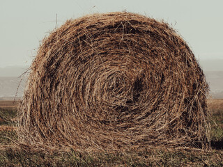 haystack close-up in a field in autumn, foggy