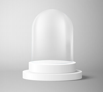 Glass dome on round base. Vector illustration