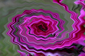 Floral themed zigzag, circular pattern. Artistic rendering created with photo of Canan (Pelargonium hybrida ) flower. Illustration.